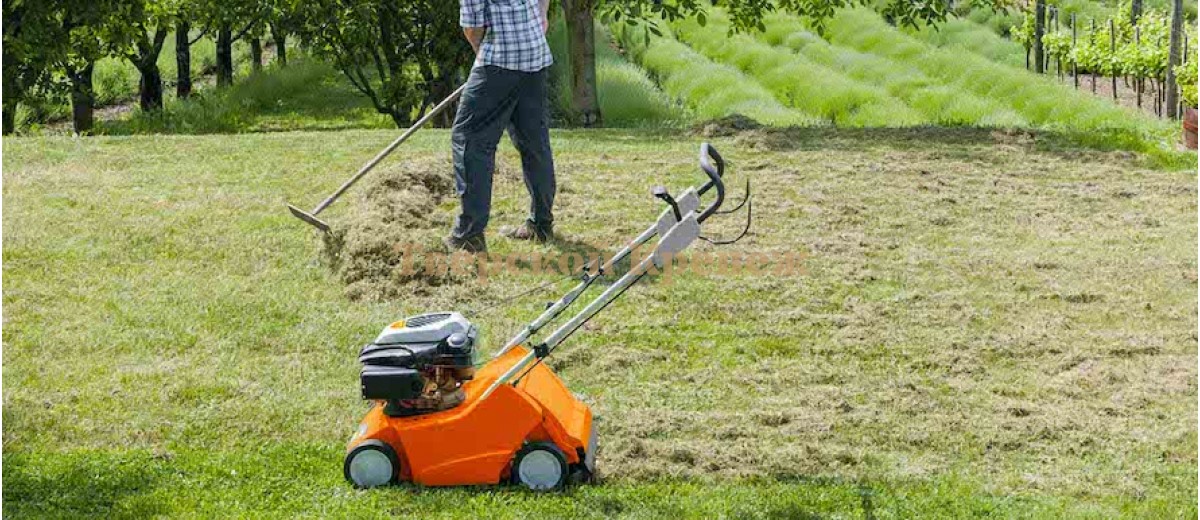 Stihl rl540. Скарификация и аэрация газона. Аэратор для газона бензиновый. Аэрация газона. Инструмент для аэрации газона.